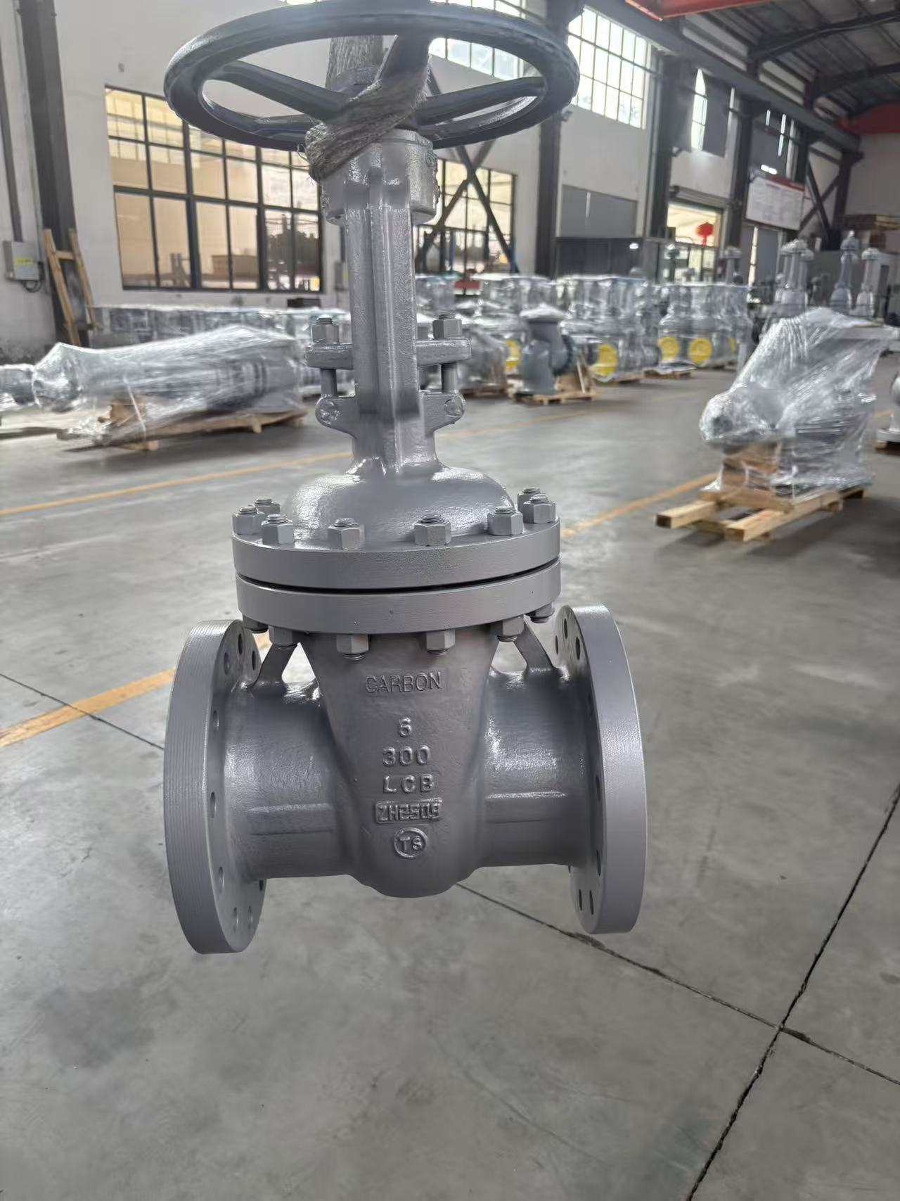 LCB gate valve 1
