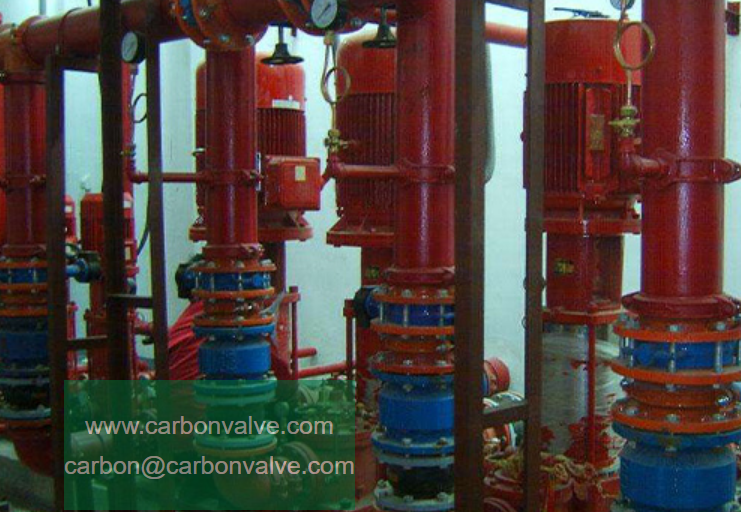 duo plate check valve