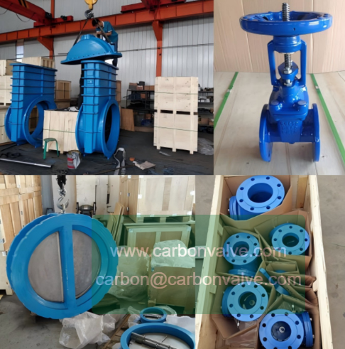 gate valve and butterfly valve